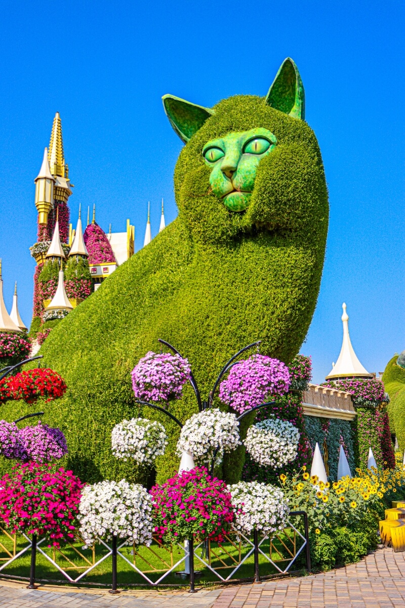 Как купить билеты в парк цветов Dubai Miracle Garden